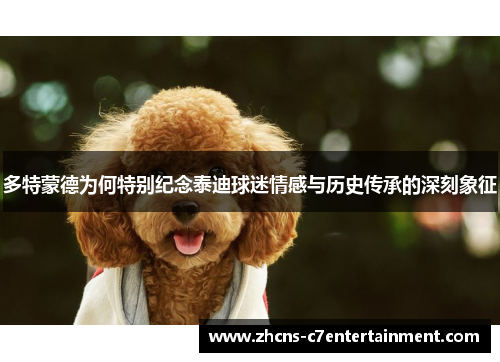 多特蒙德为何特别纪念泰迪球迷情感与历史传承的深刻象征