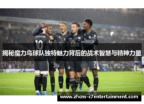 揭秘魔力鸟球队独特魅力背后的战术智慧与精神力量