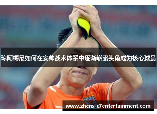 琼阿梅尼如何在安帅战术体系中逐渐崭露头角成为核心球员