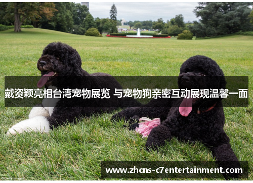 戴资颖亮相台湾宠物展览 与宠物狗亲密互动展现温馨一面 戴资颖亮相台湾宠物展览 与宠物狗亲密互动展现温馨一面