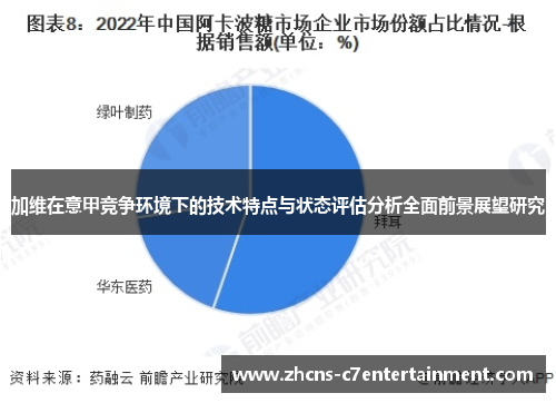 加维在意甲竞争环境下的技术特点与状态评估分析全面前景展望研究