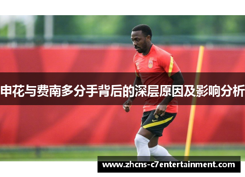 申花与费南多分手背后的深层原因及影响分析